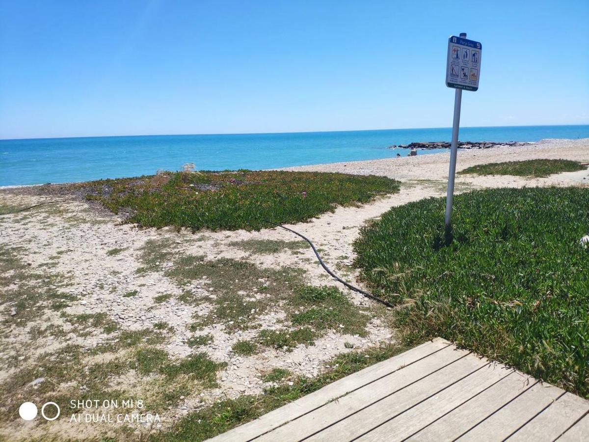 Apartamento En El Grau De Moncofa Entre 2 Y 3 Linea De Playa Eksteriør bilde